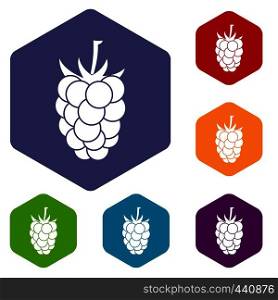 Blackberry fruit icons set hexagon isolated vector illustration. Blackberry fruit icons set hexagon