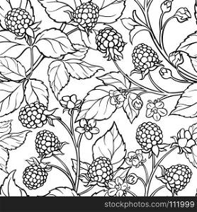 blackberry seamless pattern. blackberry branches seamless pattern on white background