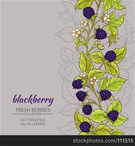 blackberry vector background. blackberry branches vector pattern on color background