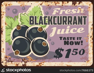 Blackcurrant juice rusty metal plate, vector fresh berry beverage vintage rust tin sign. Price tag for market or store retail. Ripe blackberry, healthy organic drink of garden orchard or wild berries. Blackcurrant juice rusty metal plate, vector berry