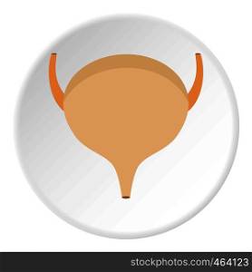 Bladder icon in flat circle isolated vector illustration for web. Bladder icon circle
