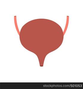 Bladder icon in flat style isolated on white background. Bladder icon flat