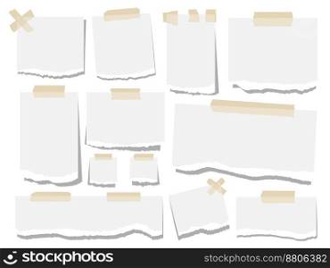 Blank paper torn page notes office notepaper vector image
