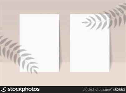 Blank poster with shadow overlay. Shadow plant on paper sheets a4 mockup. Tropical leaf silhouette on banner. Palm leaves blurred overlay and empty card for print text. Design vector illustration. Blank poster with shadow overlay. Shadow plant on paper sheets a4 mockup. Tropical leaf silhouette on banner. Palm leaves blurred overlay and empty card for print text. Design vector illustration.