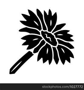 Blanket flower glyph icon. Gaillardia aristata garden plant. Arizona apricot. Blooming wildflower. Summer and spring blossom. Silhouette symbol. Negative space. Vector isolated illustration