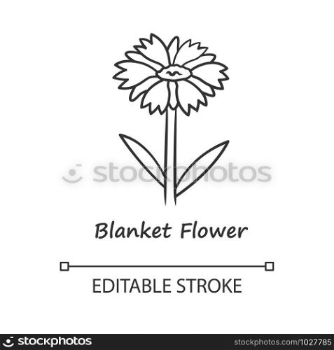 Blanket flower linear icon. Gaillardia aristata garden plant with name. Blooming wildflower. Summer and spring blossom. Thin line illustration. Contour symbol. Vector isolated drawing. Editable stroke