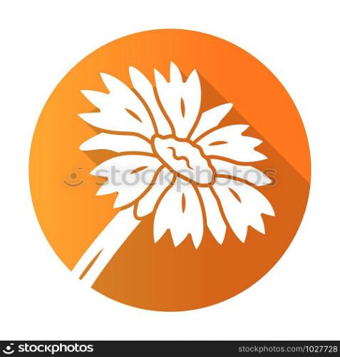 Blanket flower orange flat design long shadow glyph icon. Gaillardia aristata garden plant. Arizona apricot. Blooming wildflower. Summer and spring blossom. Vector silhouette illustration