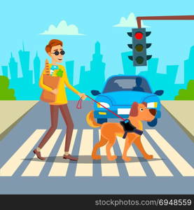 Blind Man Vector. Young Person With Pet Dog Helping Companion. Disability Socialization Concept. Blind Person And Guide Dog On Crosswalk. Cartoon Character Illustration. Blind Man Vector. Young Person With Pet Dog Helping Companion. Disability Socialization Concept. Blind Person And Guide Dog On Crosswalk. Character Illustration