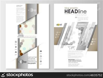 Blog graphic business templates. Page website design template, easy editable, abstract flat layout. Abstract gray color business background, modern stylish hexagonal vector texture.