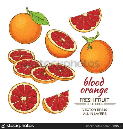 blood orange fruit. blood orange fruit vector set on white background