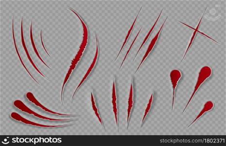 Blood scratches and cuts. Bloody scars and sharp slashes. Ripped wounds by animal paws. Halloween scary decor. Cat claws tracks vector set. Illustration slash and edge of trace. Blood scratches and cuts. Bloody scars and sharp slashes. Ripped wounds by animal paws. Halloween scary decor. Cat claws tracks vector set