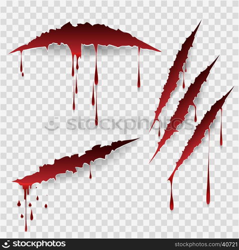 Bloody scratch marks. Bloody scratches. Vector scratch marks with blood ...