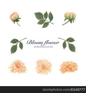 Bloom flower e≤ment design watercolor on white background for decorative use.