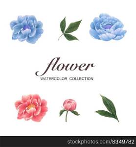 Bloom flower element design peony watercolor on white background for decorative use.