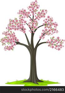 Bloom pink sakura tree on white background