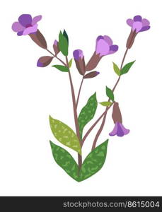 Blooming botany, tender blossom violet wildflowers. Spring and summer season revival of nature and flourishing. Florist shop assortment of composition for holiday present. Vector in flat style. Violet wildflowers in blossom, blooming botany