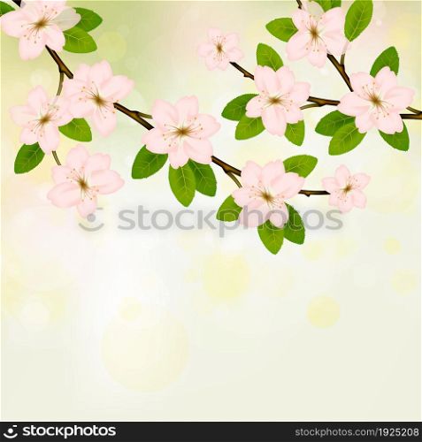 Blooming branch vector with pink spring blossom. Card with text place. Cherry flower blossom branch, peach bloom, sakura branch.. Blooming branch vector with pink spring blossom.