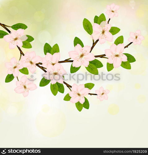 Blooming branch vector with pink spring blossom. Card with text place. Cherry flower blossom branch, peach bloom, sakura branch.. Blooming branch vector with pink spring blossom.