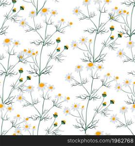 Blooming chamomile flower, medical plant or herb. Wildflower with leaves and stem, buds blossom and foliage. Seamless pattern or background, print or repeatable wallpaper. Vector in flat style. Chamomile flower with blossom seamless pattern