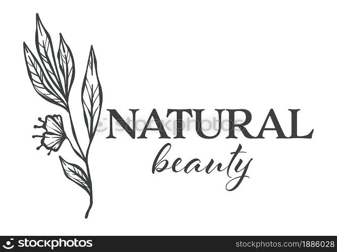 Blooming flower with flourishing and foliage, natural beauty monochrome sketch outline. Isolated calligraphy banner with plant, florist shop or store service, organic product vector in flat style. Natural beauty florist shop assortment monochrome sketch outline