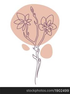 Blooming flower with tender petals and stem, isolated minimalist sketch of botany. Herbs or botanic element, bouquet or label for organic products or florist shops and stores. Vector in flat style. Botany minimalist sketch, spring flower blossom