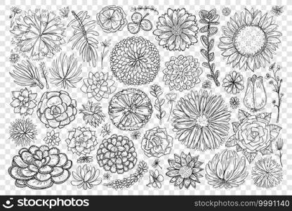 Blooming flowers and plants doodle set. Collection of hand drawn blossom flowers and elegant floral beautiful decoration patterns of nature isolated on transparent background. Blooming flowers and plants doodle set