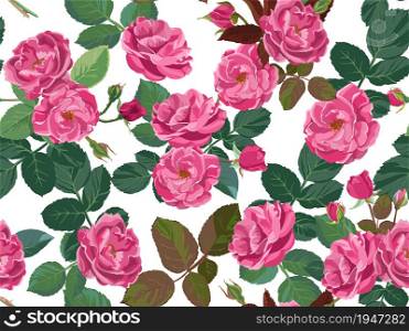 Blooming flowers in spring or summer, seamless pattern of roses or peonies. Botany and revival of nature. Elegant plants with buds, bouquets vintage wallpaper or background. Vector in flat style. Floral pattern with peonies or roses and foliage