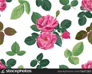 Blooming flowers, peonies or roses with buds, leaves and foliage. Background or wallpaper, print for card or wrapping, decorative element of nature. Houseplant flourishing. Vector in flat style. Roses or peonies in blossom, flowers in bloom