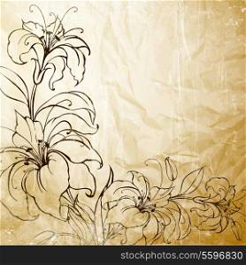 Blooming lilies over sepia background. Vector illustration.