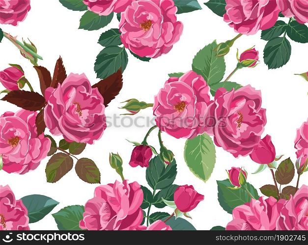 Blooming pink roses and peonies, summer or spring blossom and flourishing. Natural botanical plants, background or print for greeting card, Romantic flora. Seamless pattern, vector in flat style. Pink roses or peonies with leaves and branches
