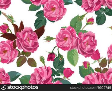 Blooming pink roses and peonies, summer or spring blossom and flourishing. Natural botanical plants, background or print for greeting card, Romantic flora. Seamless pattern, vector in flat style. Pink roses or peonies with leaves and branches