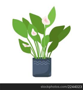 Blooming plant in pot semi flat color vector object. Full sized item on white. Home garden. Blossoming houseplant simple cartoon style illustration for web graphic design and animation. Blooming plant in pot semi flat color vector object