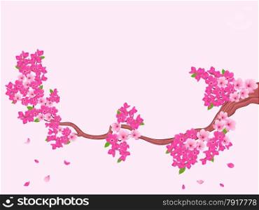 Blooming Sakura branch (Japanese cherry tree) on light pink background, hand drawing vector illustration