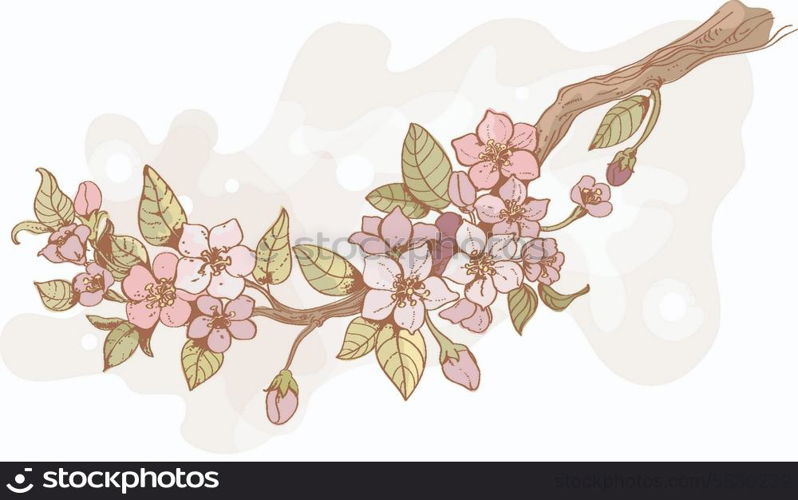 Blooming sakura tree branch wallpaper with flowers blossoms and pink reflection vector illustration