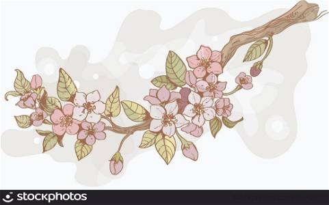 Blooming sakura tree branch wallpaper with flowers blossoms and pink reflection vector illustration