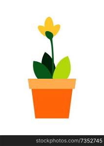 Blooming yellow flower with green leaves in clay flowerpot vector illustration isolated on white. Windowsill decorative element, cute plant in pot vector. Blooming Yellow Flower Green Leaves in Flowerpot