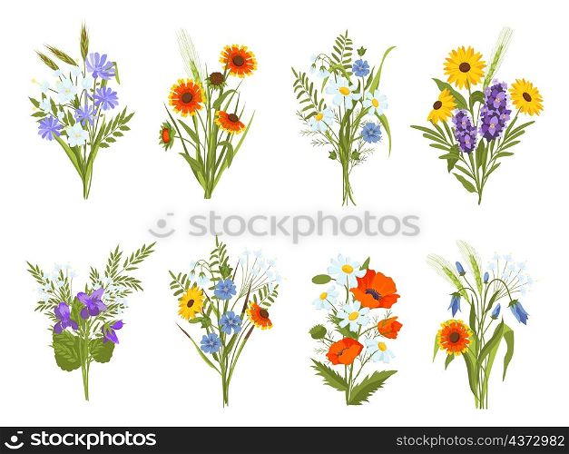 Blossom bouquets with garden and meadow wild flowers and herbs. Beautiful summer field wildflowers, daisy, sunflower and poppy vector set. Flowers blossom with leaf illustration. Blossom bouquets with garden and meadow wild flowers and herbs. Beautiful summer field wildflowers, daisy, sunflower and poppy vector set