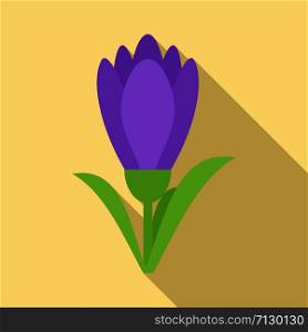 Blossom crocus icon. Flat illustration of blossom crocus vector icon for web design. Blossom crocus icon, flat style
