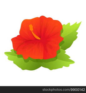 Blossom hibiscus icon. Cartoon of blossom hibiscus vector icon for web design isolated on white background. Blossom hibiscus icon, cartoon style