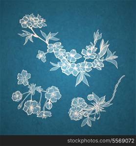 Blossoming cherry decorative elements isolated vector illustration