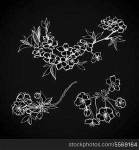 Blossoming floral decorative elements isolated vector illustration