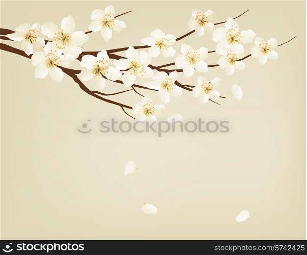 Blossoming tree brunch with spring flowers. Vector illustration.
