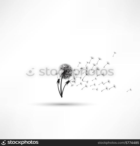 blowing dandelion vector