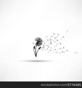 blowing dandelion vector