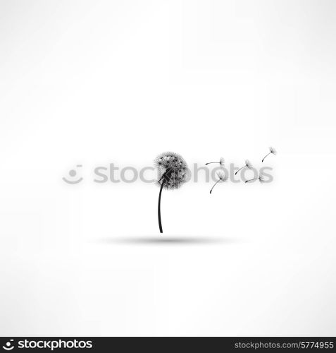 blowing dandelion vector