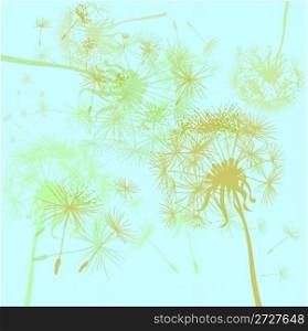 blue background with dandelions