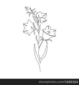 Blue bell flower on white background. One line drawing style.. Blue bell flower on white