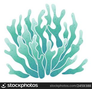 Blue coral. Branching reef flora. Exotic wildlife isolated on white background. Blue coral. Branching reef flora. Exotic wildlife