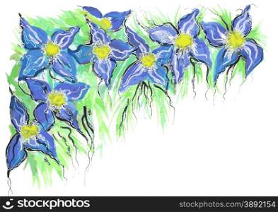 blue flowers isolated on a white background