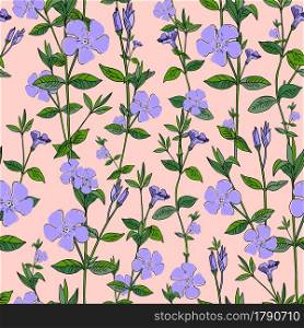 Blue flowers on a pink background. Periwinkle. Seamless summer pattern.. Blue flowers on a pink background. Periwinkle. Seamless summer pattern